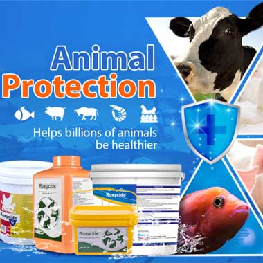 Industrie de la désinfection animale et produits de désinfection